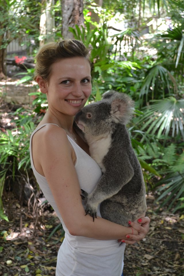 voyage de noce australie rencontre calin koala
