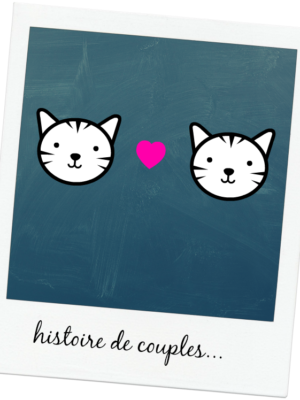 histoire de couples