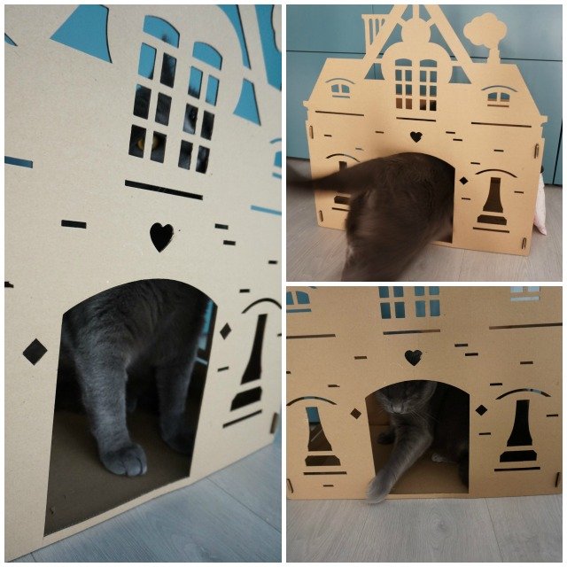 maison pour chat en carton